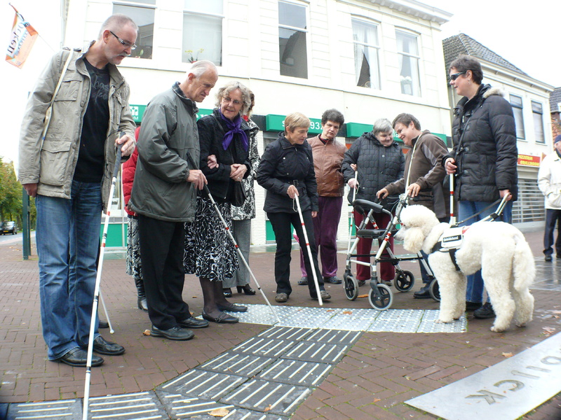 Platform-Toegankelijkheid