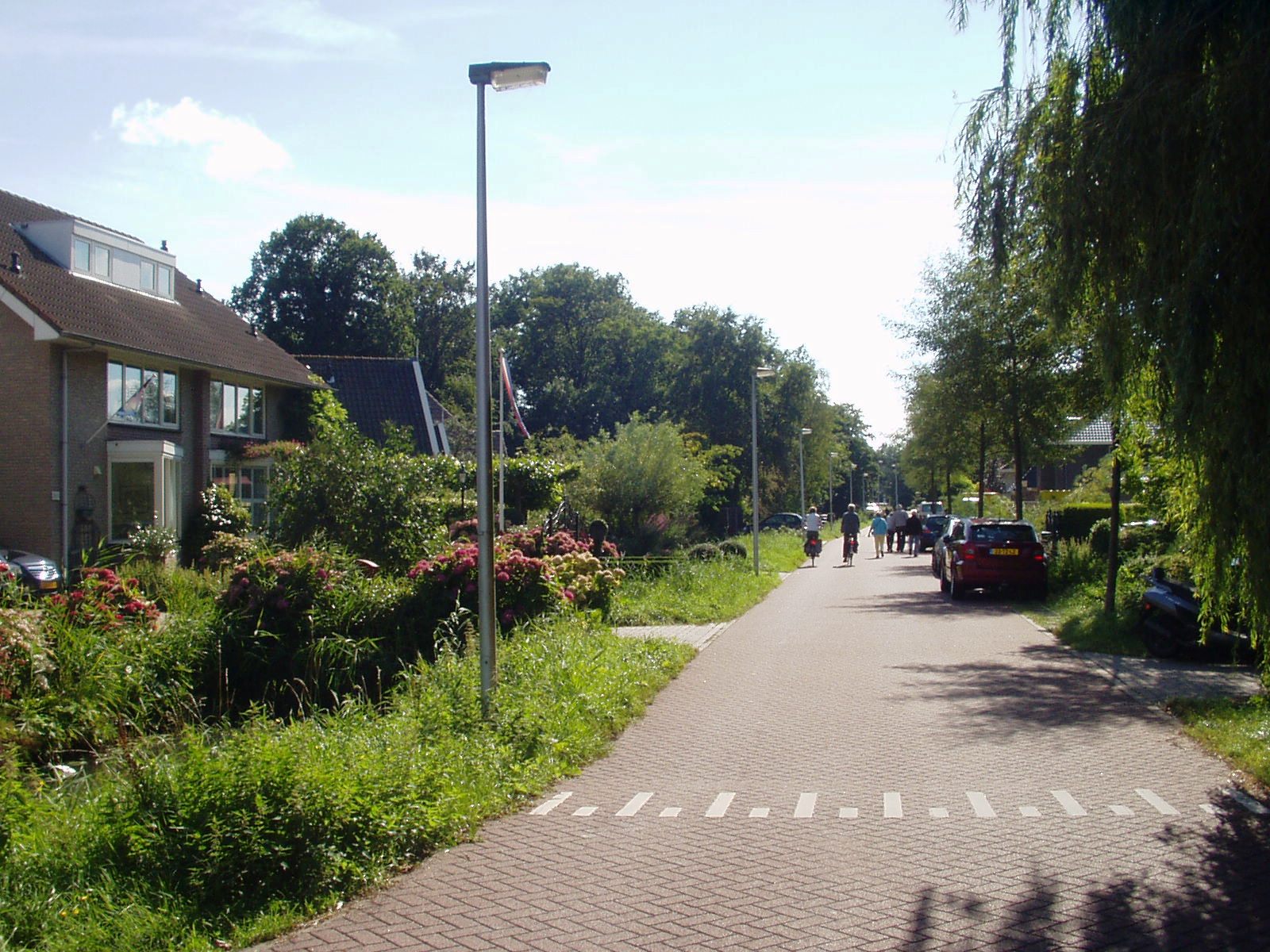 ovpolderdijk4