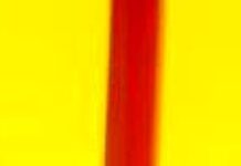 Nederlanders machteloos en gefrustreerd over het land en de politiek in aanloop naar de verkiezingen