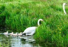 Zoeken naar een nieuwe balans tussen landbouw en natuur in 2050