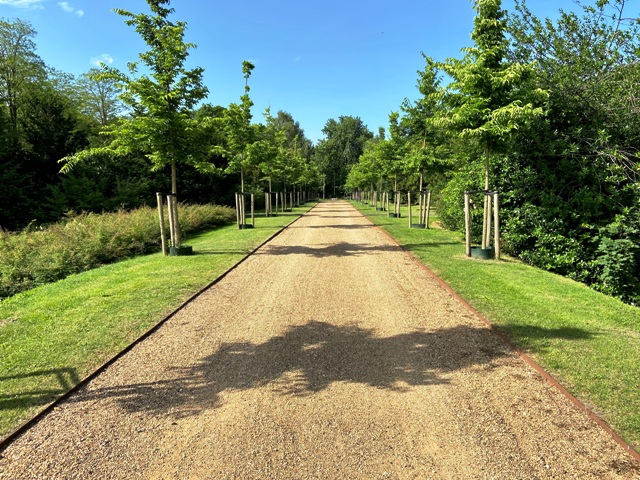 ‘Als je niet meer beter wordt’: Nieuwe campagne brengt gesprek over