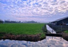 Een nieuw college een nieuwe cultuur?