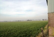 Agrarisch perspectief gemeente Purmerend – Een beter beeld van de agrarische sector