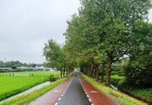 Gemeente Purmerend start verkeersveiligheidscampagne ‘Wijzer door de Wijk’