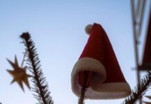 Van verlichte eik naar een geïllumineerde rode vrachtwagen