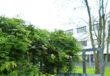 Open Monumentendag 2025: Erfgoed & Architectuur