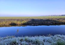 Bezwaar Purmerend tegen plan plaatsen hoogspanningsmasten dwars door Werelderfgoed Beemster
