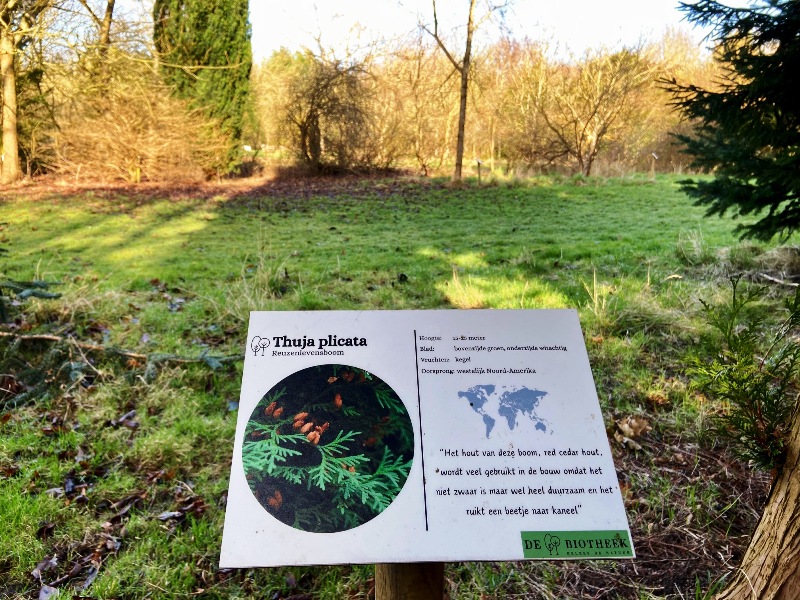 Zaterdag 7 maart vieren we de Boomfeestdag