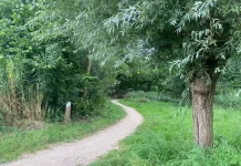 Denk mee over Park De Dwarsgouw